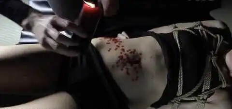西檬之家字母圈入圈指南:新人必看 一
