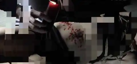 西檬之家女王属性是什么? 一