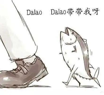 西檬之家Sp小圈新手指南 一