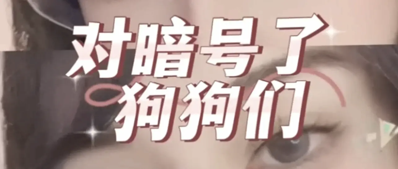 西檬之家字母圈入圈指南:新人必读SSC原则 一