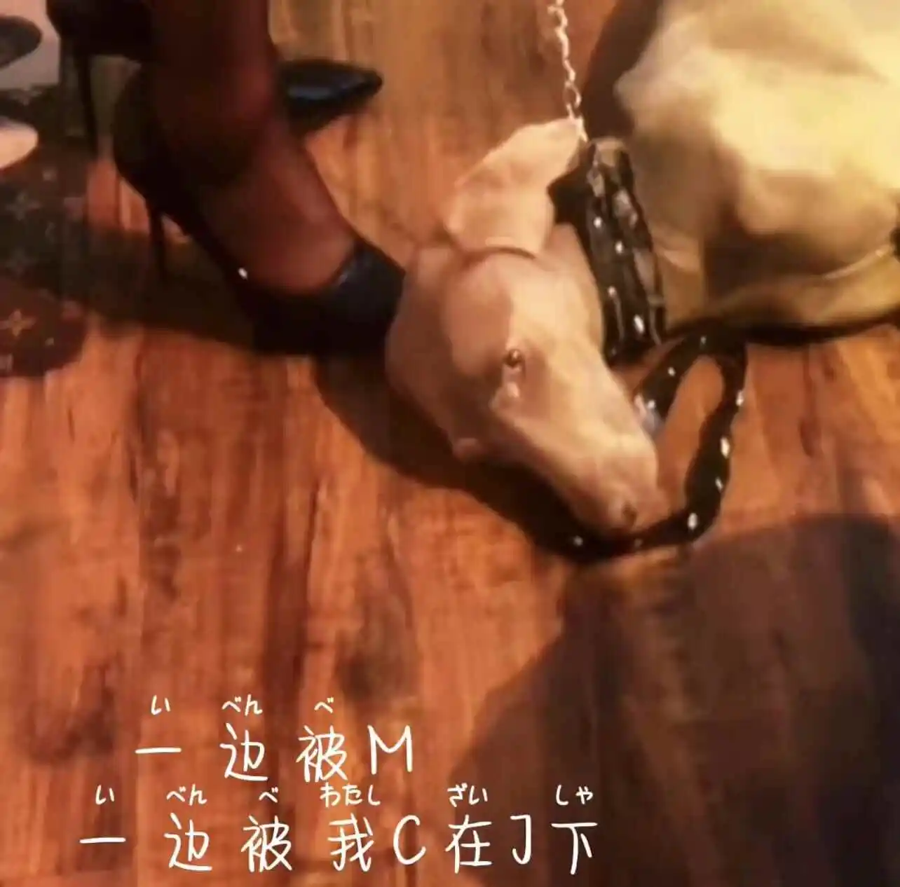 西檬之家圣水是什么?字母圈新人如何理解这一术语 一