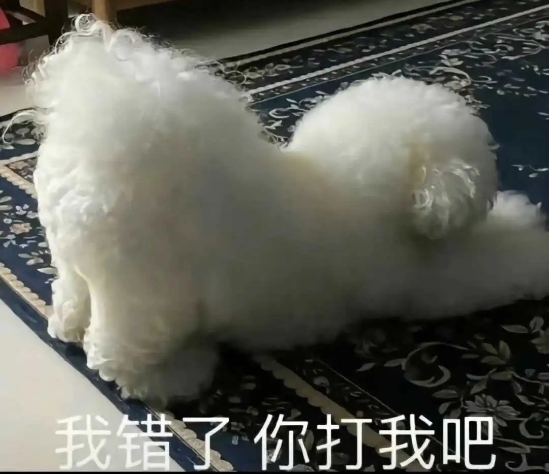 西檬之家字母圈女王是什么意思 一