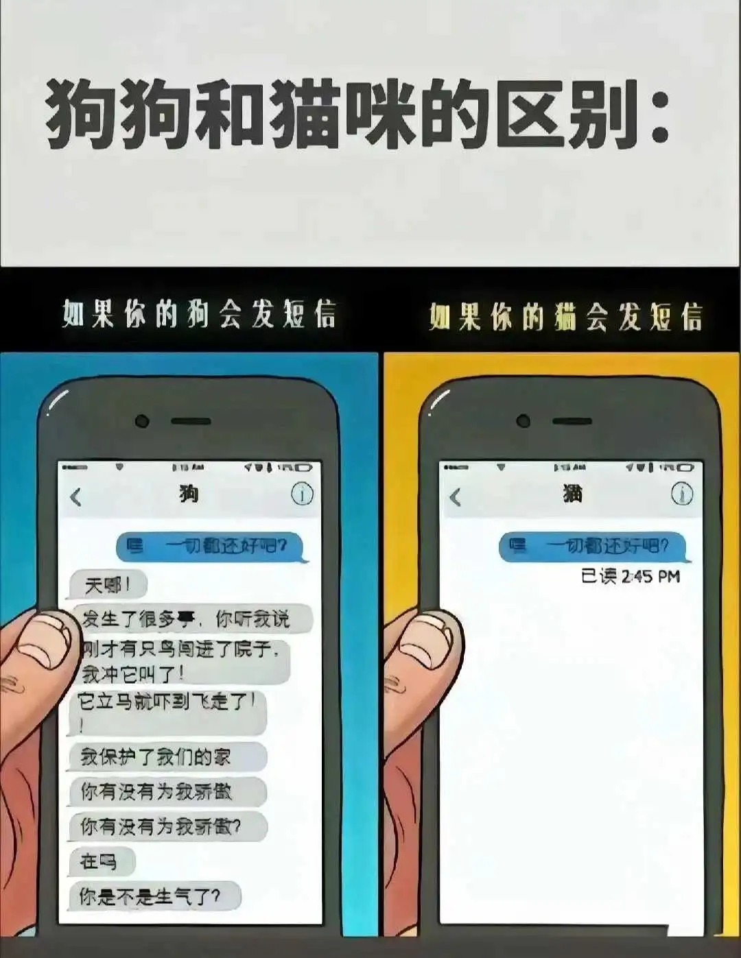 西檬之家S倾向是什么意思? 一