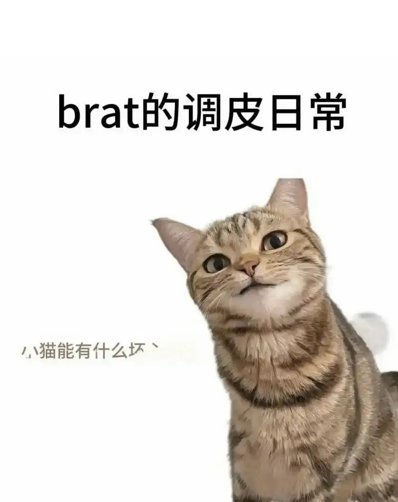 西檬之家SM亚文化是什么? 一