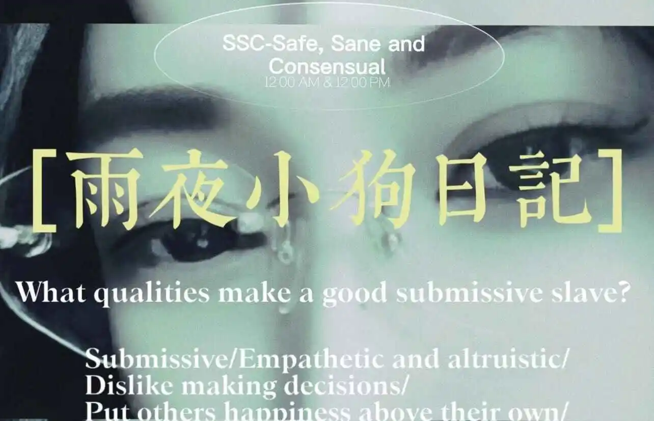 西檬之家k8是什么?你的猫系属性找到了吗? 一
