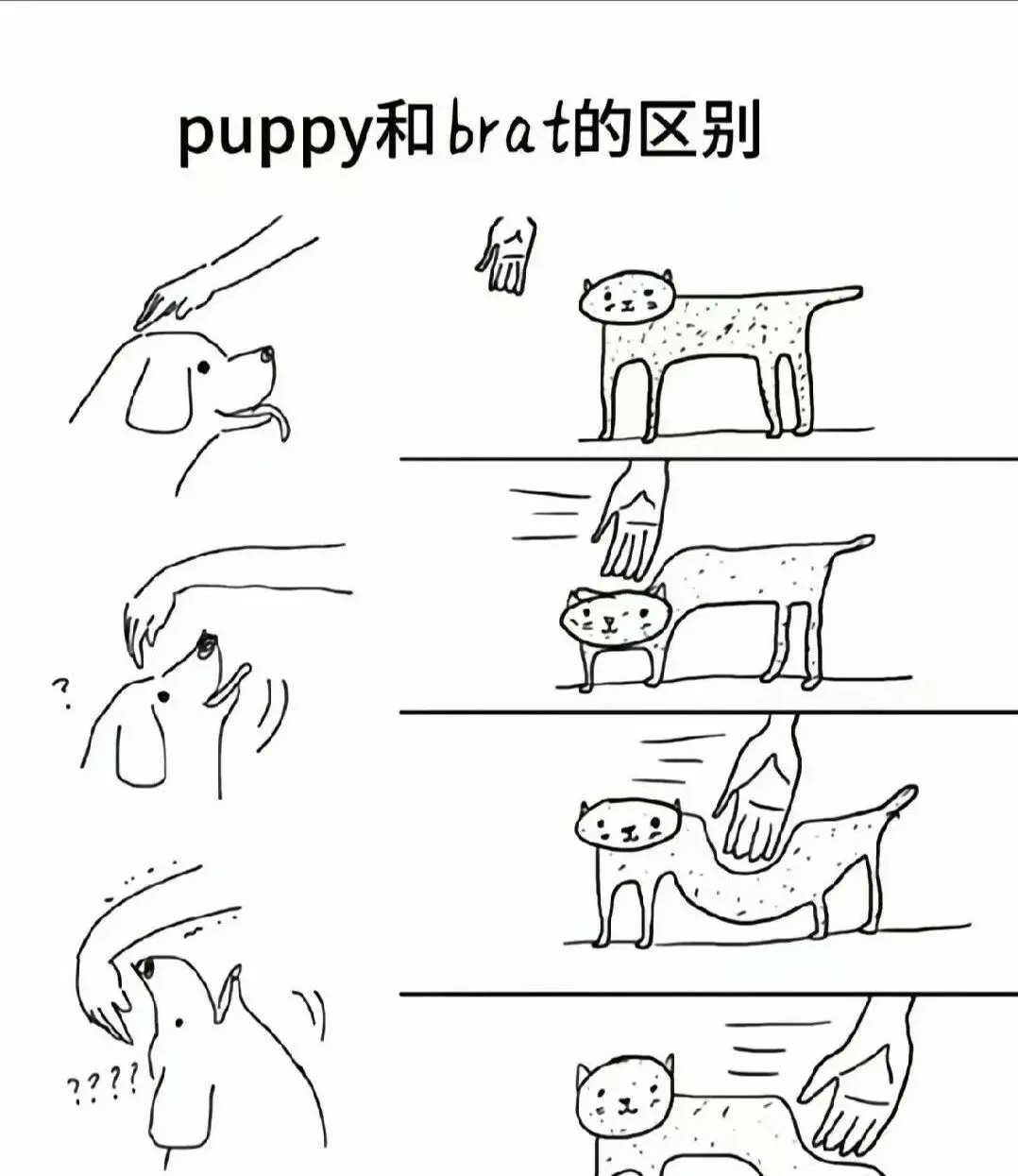 西檬之家什么是M倾向?字母圈新人入圈指南 一