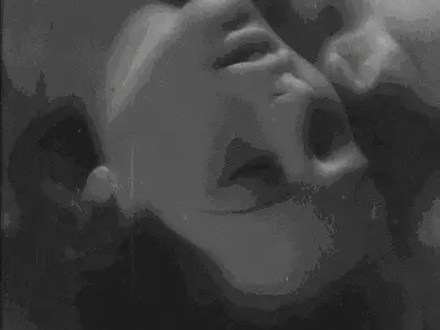 西檬之家K9犬系是什么意思? 一