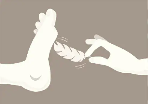 西檬之家k9犬系是什么意思？ 一