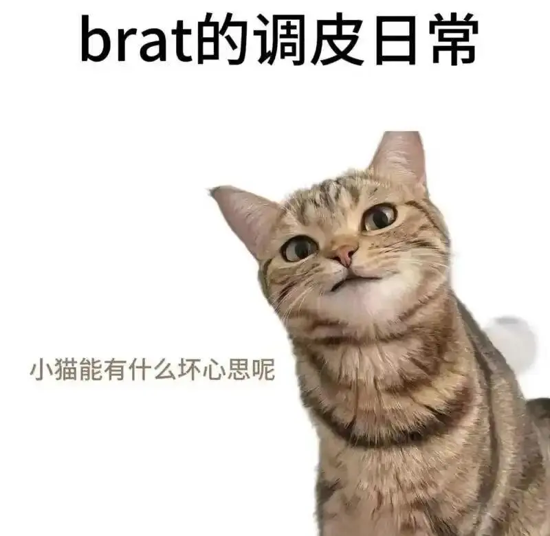 西檬之家TK是什么?字母圈新人必读 一