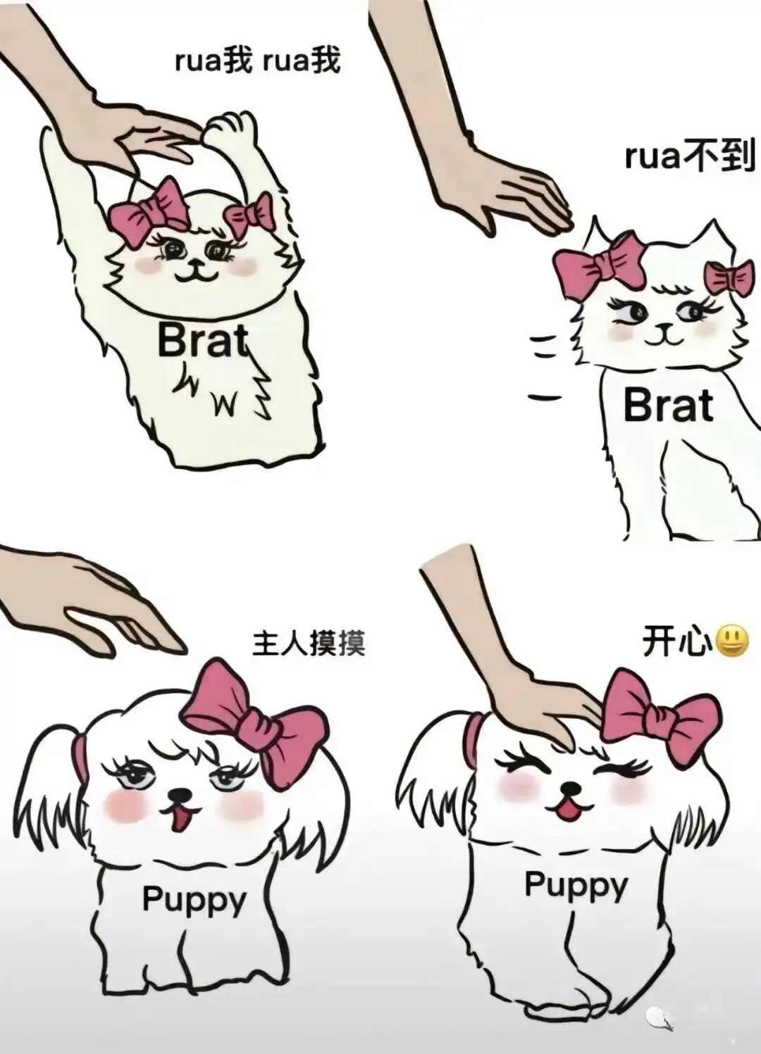 西檬之家BDSM是什么?字母圈新人如何入门? 一